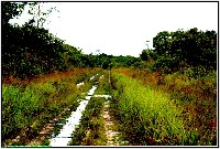 Plonsen - nr. 0183